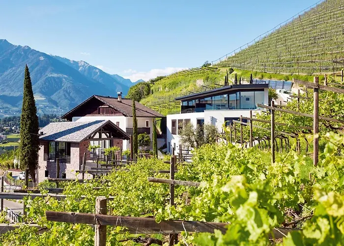 Appartement Pratenberg Wine